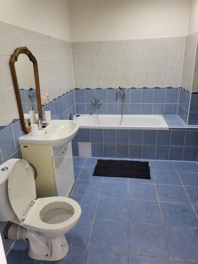 U Radka Apartment Chodov (Karlovy Vary)