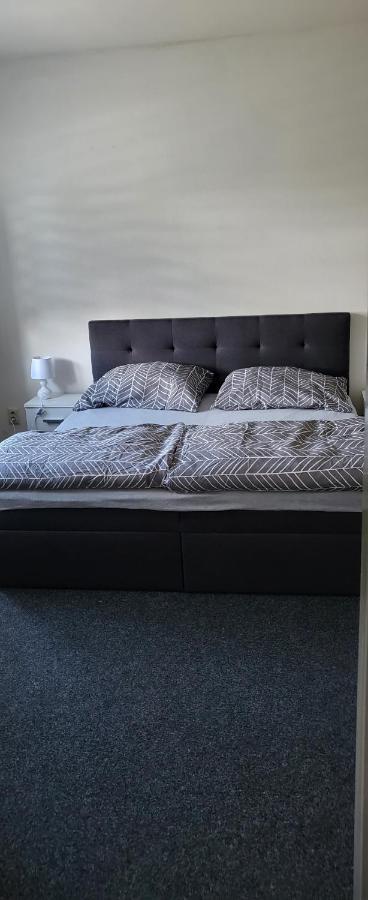 U Radka Apartment *